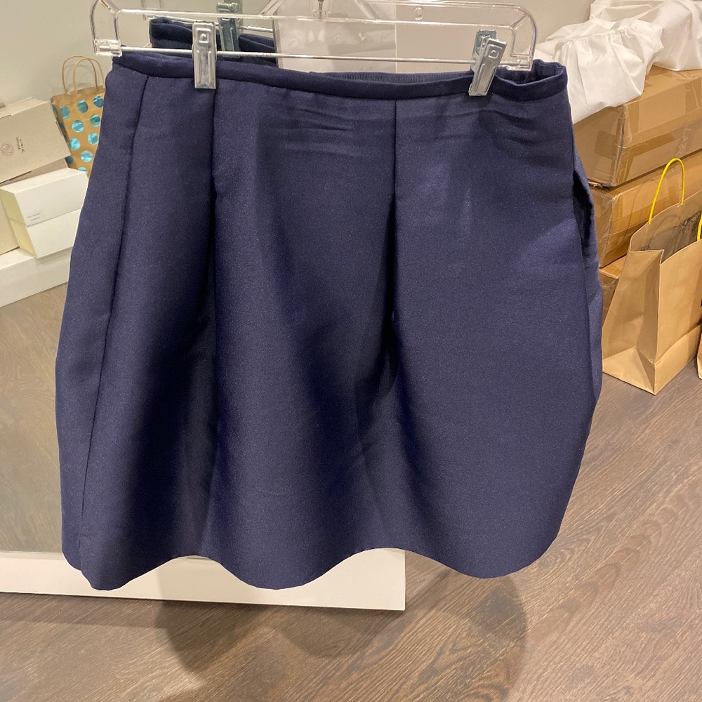 Womens  lord and Taylor 424 fifth dressy skirt